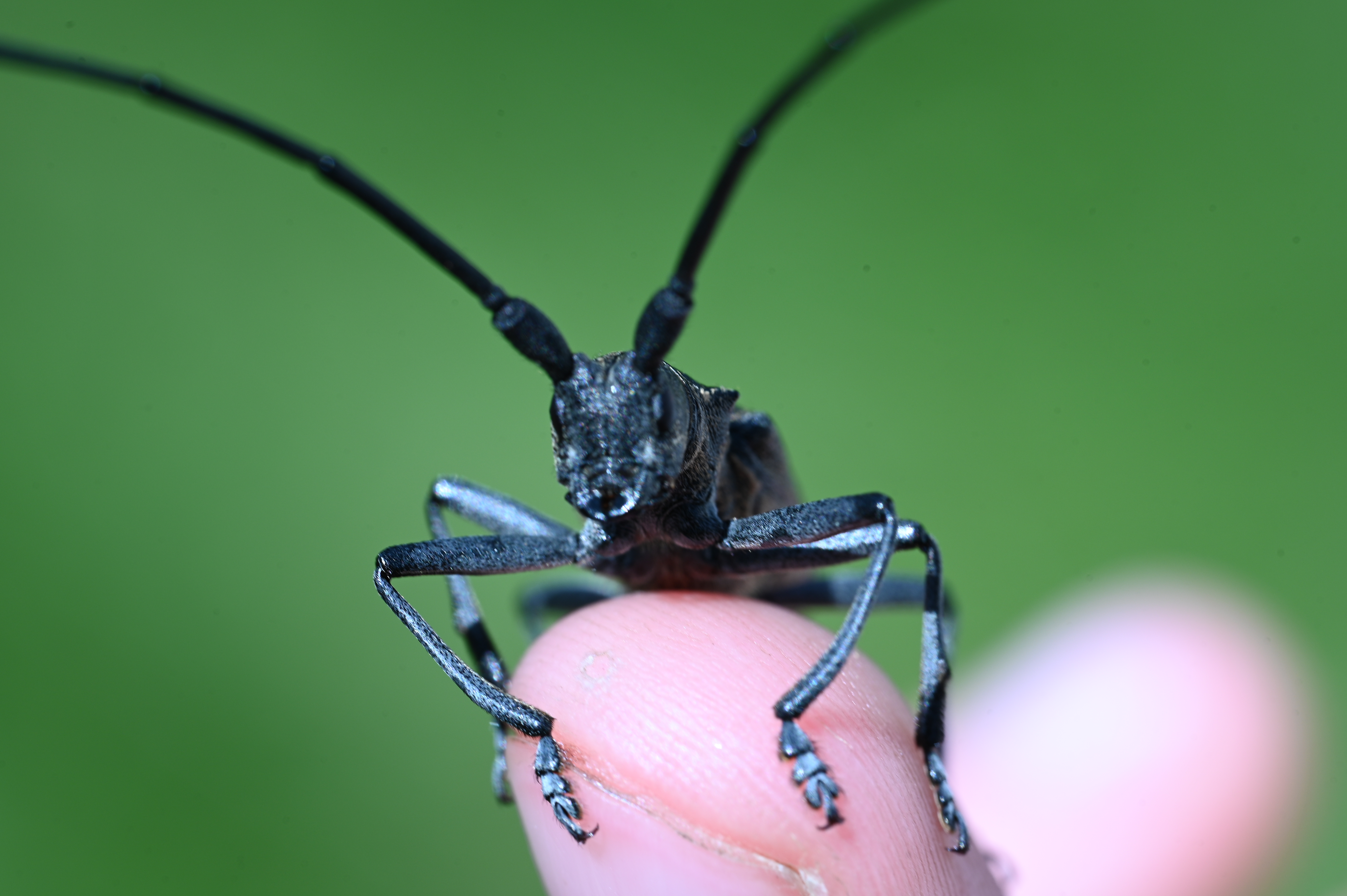 2025/07/09-14 - trip/DSC_0142.JPG